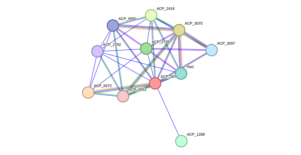 STRING protein interaction network