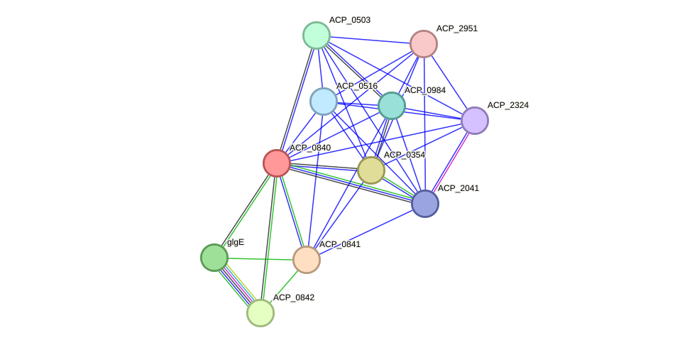 STRING protein interaction network