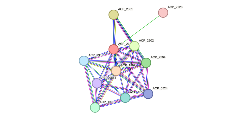 STRING protein interaction network