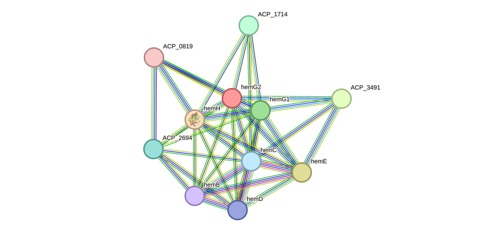 STRING protein interaction network