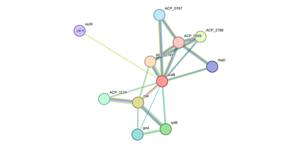 STRING protein interaction network