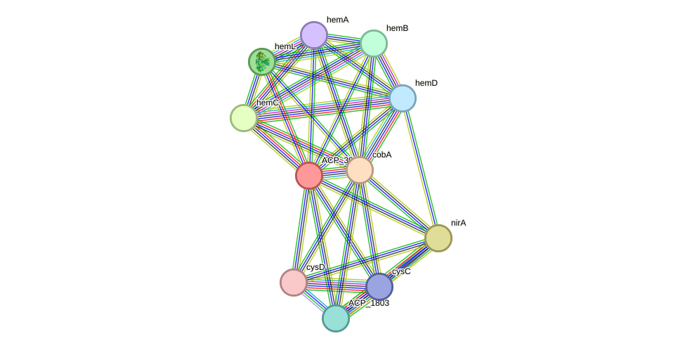 STRING protein interaction network