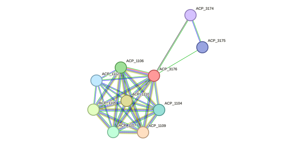 STRING protein interaction network