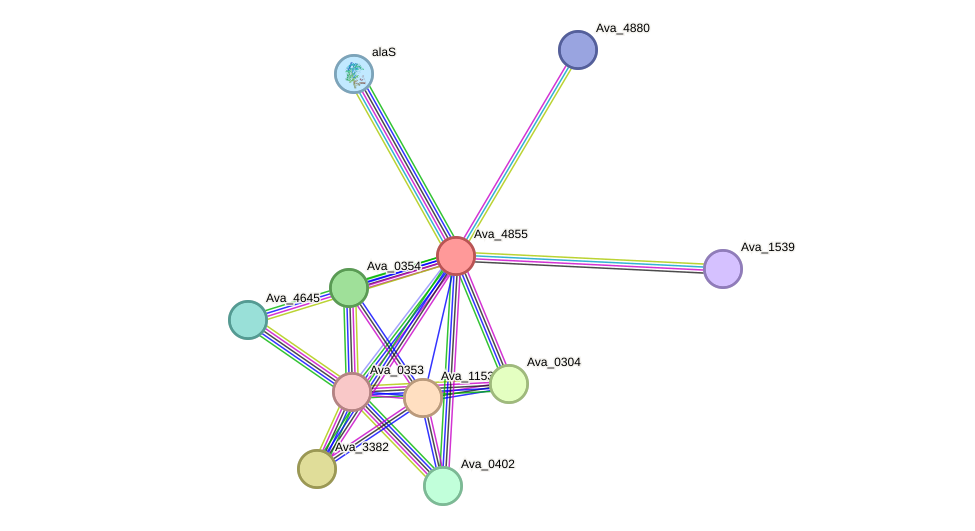 STRING protein interaction network