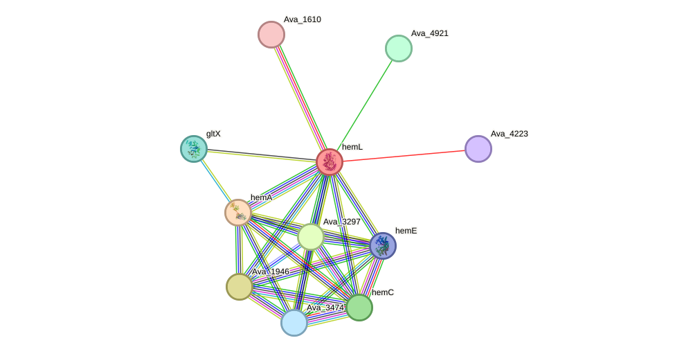 STRING protein interaction network