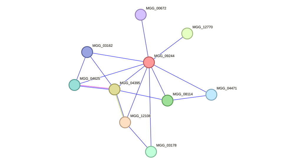 STRING protein interaction network