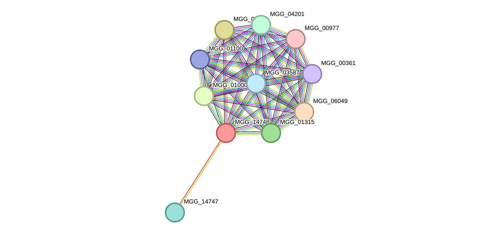 STRING protein interaction network