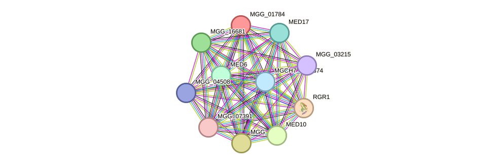 STRING protein interaction network