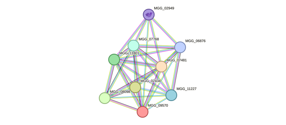 STRING protein interaction network