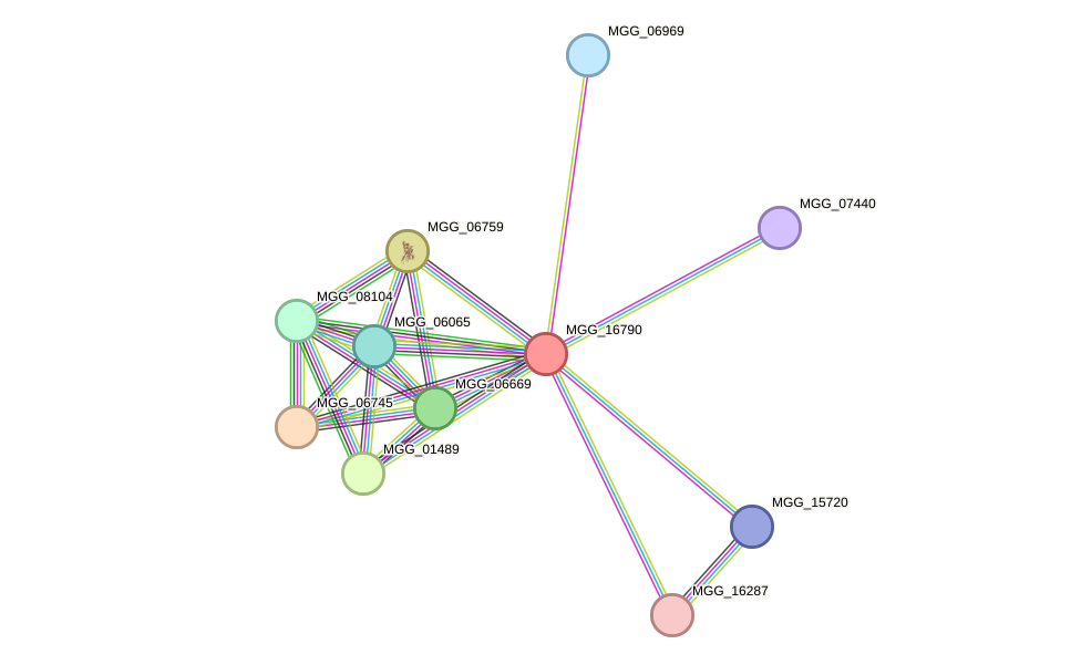 STRING protein interaction network