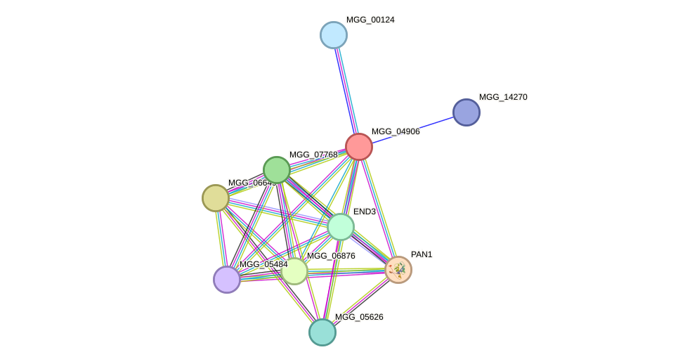 STRING protein interaction network