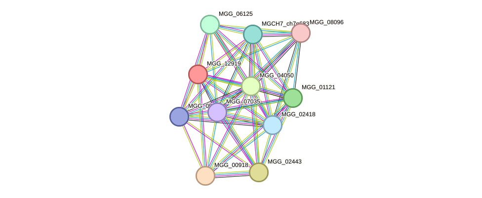 STRING protein interaction network