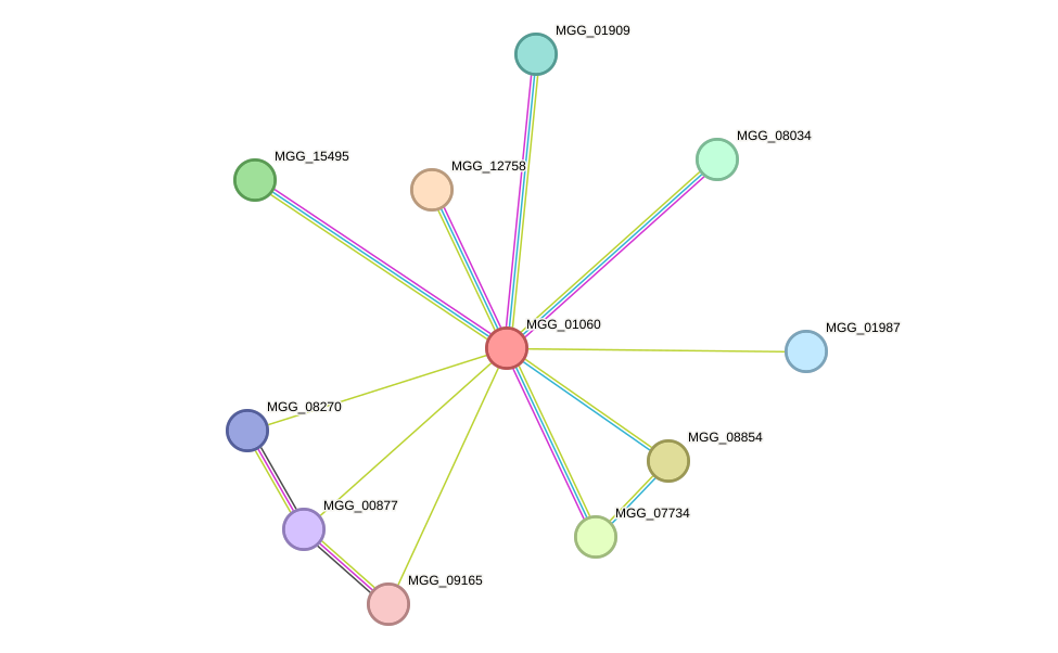 STRING protein interaction network