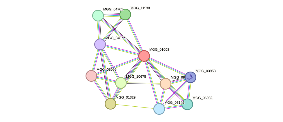 STRING protein interaction network