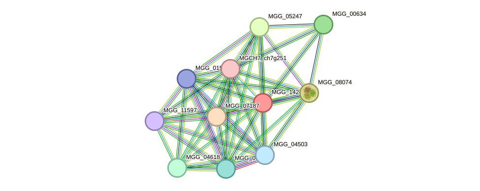 STRING protein interaction network