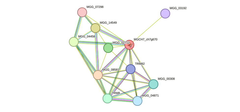 STRING protein interaction network