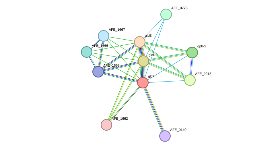 STRING protein interaction network