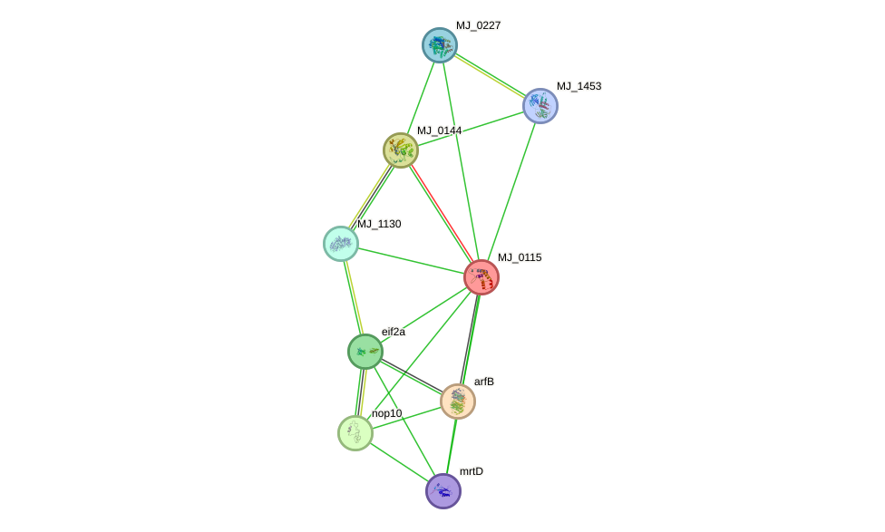 STRING protein interaction network