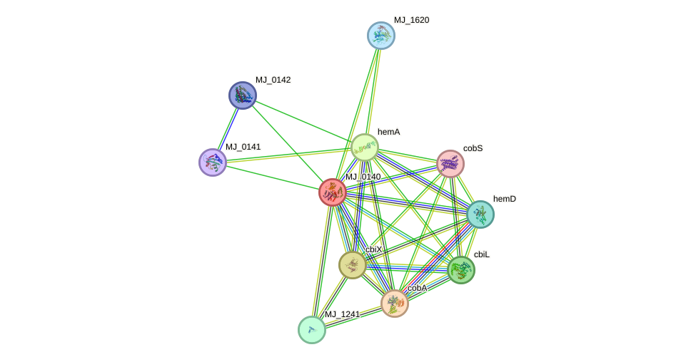 STRING protein interaction network