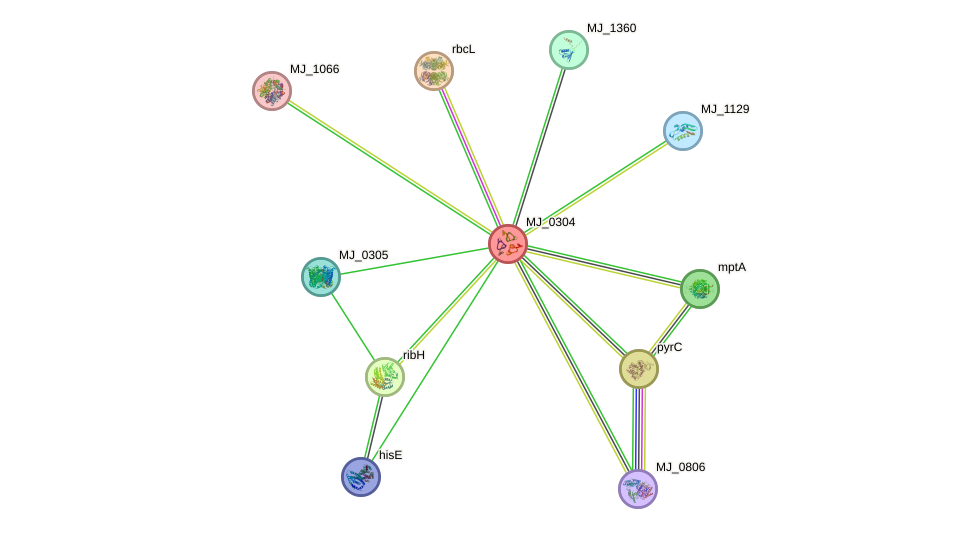 STRING protein interaction network