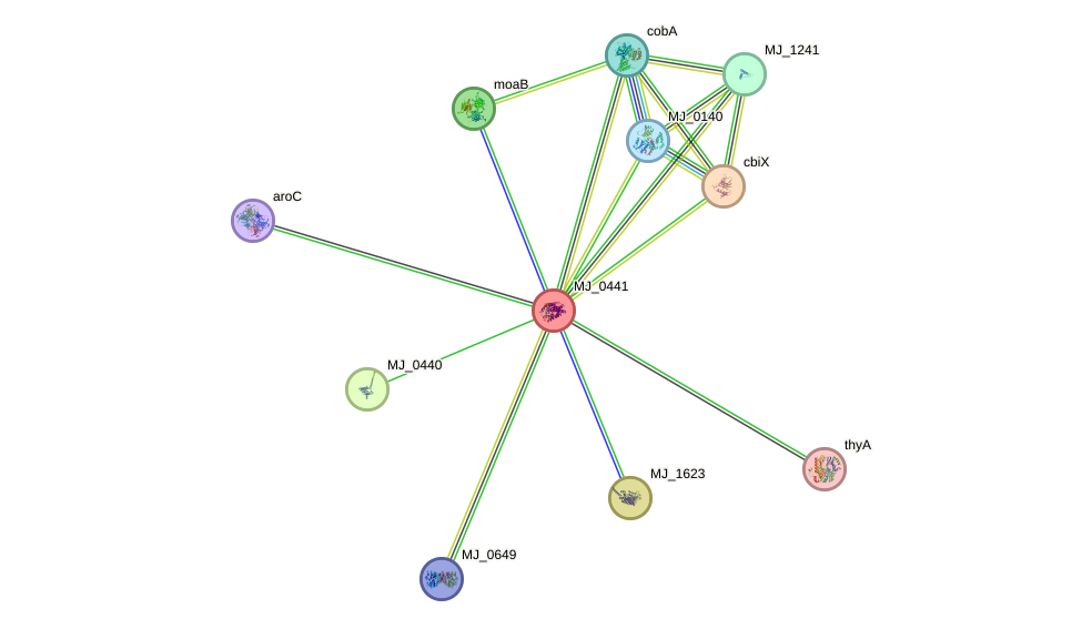 STRING protein interaction network