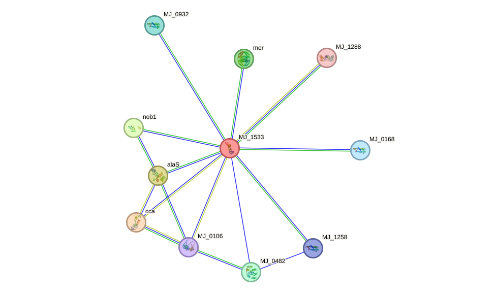 STRING protein interaction network