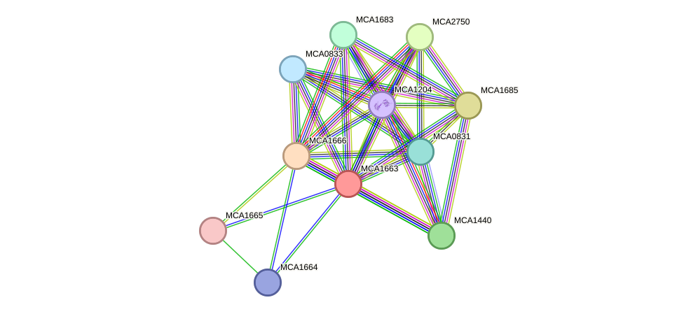 STRING protein interaction network