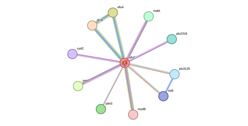 STRING protein interaction network