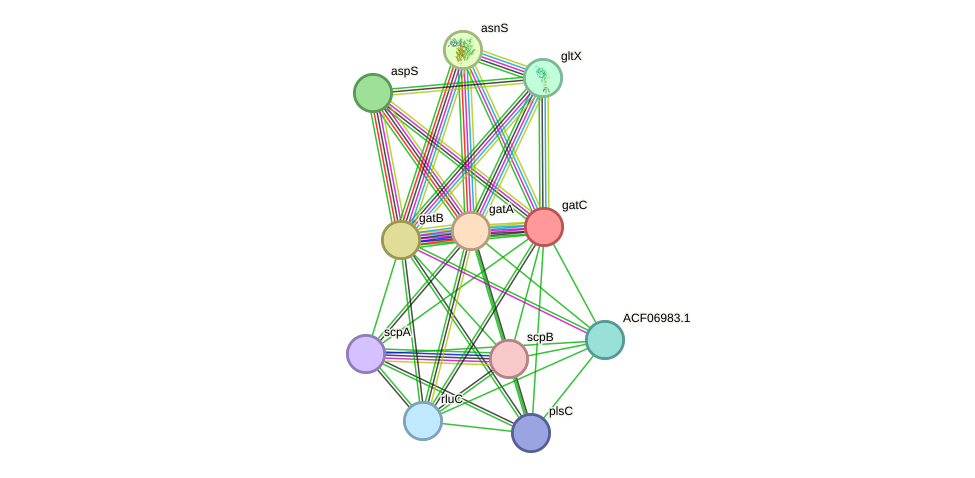 STRING protein interaction network