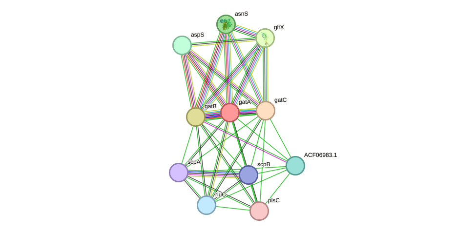 STRING protein interaction network