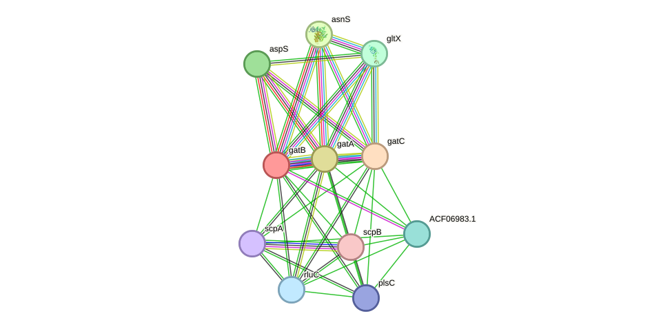 STRING protein interaction network