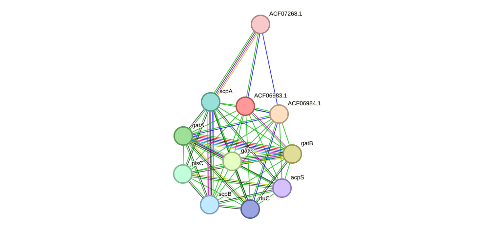 STRING protein interaction network