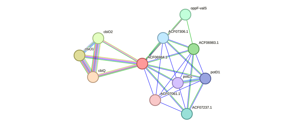 STRING protein interaction network