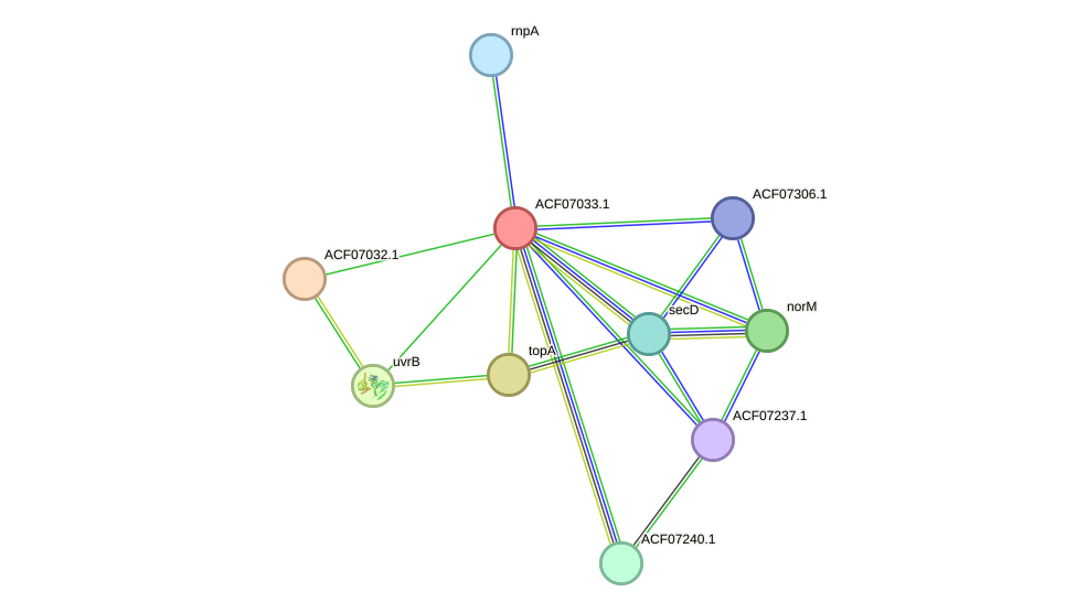 STRING protein interaction network