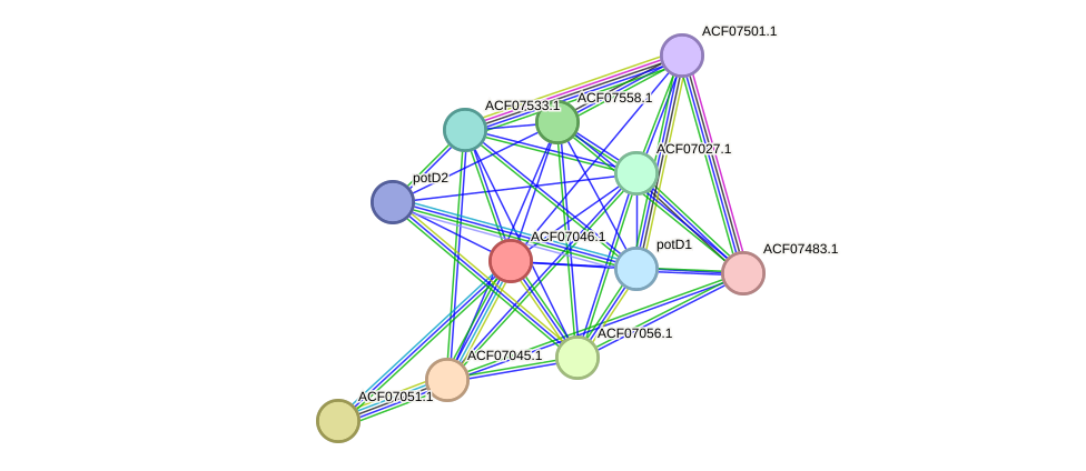 STRING protein interaction network