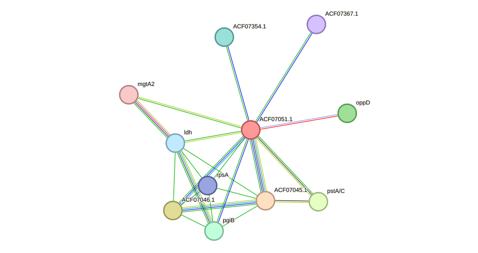 STRING protein interaction network