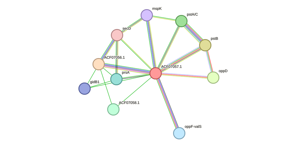 STRING protein interaction network