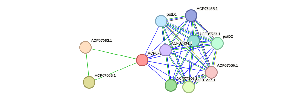 STRING protein interaction network