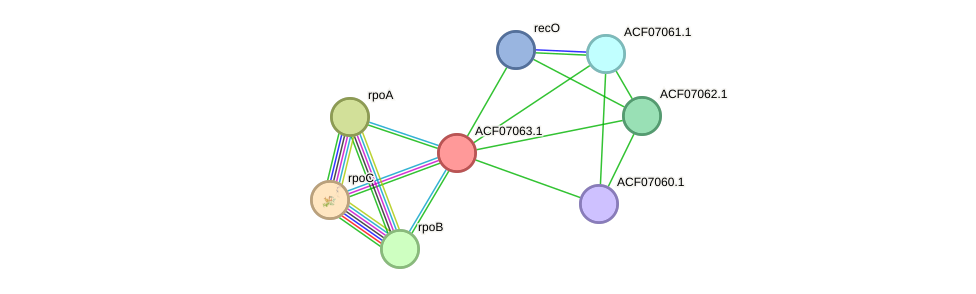 STRING protein interaction network