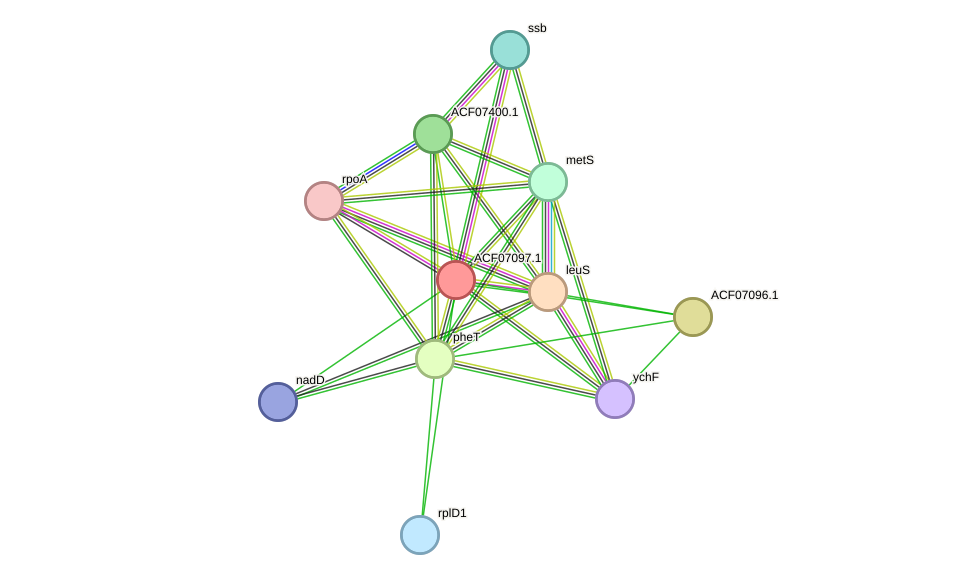 STRING protein interaction network