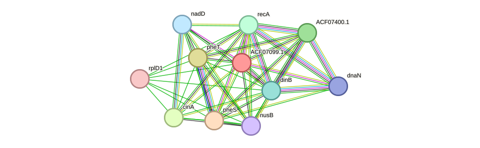 STRING protein interaction network