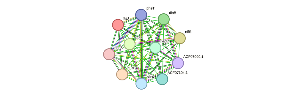 STRING protein interaction network