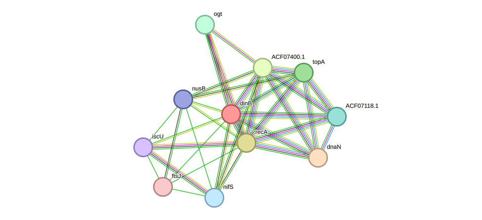STRING protein interaction network