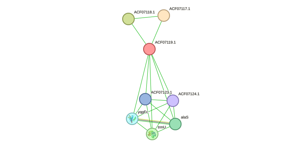 STRING protein interaction network