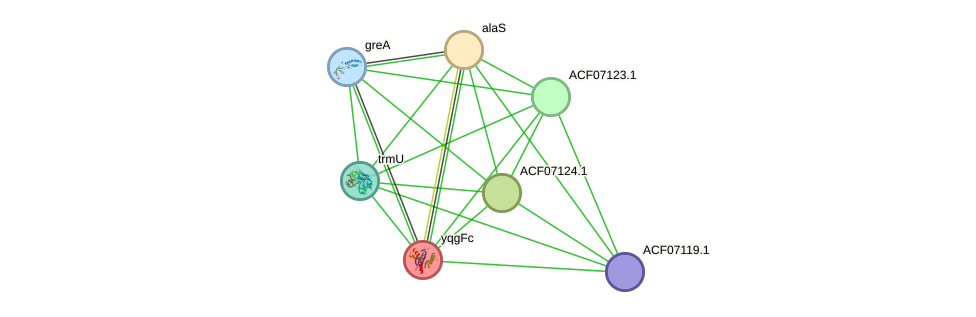 STRING protein interaction network