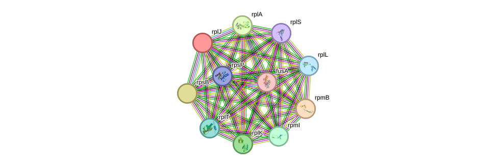STRING protein interaction network