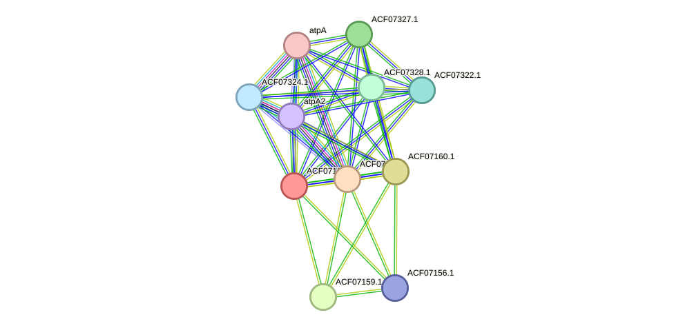 STRING protein interaction network