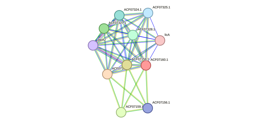 STRING protein interaction network