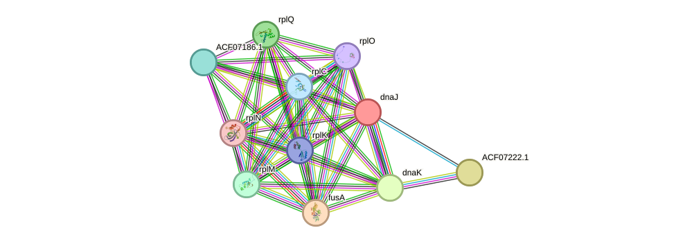 STRING protein interaction network