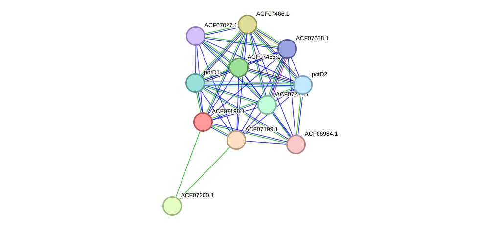STRING protein interaction network